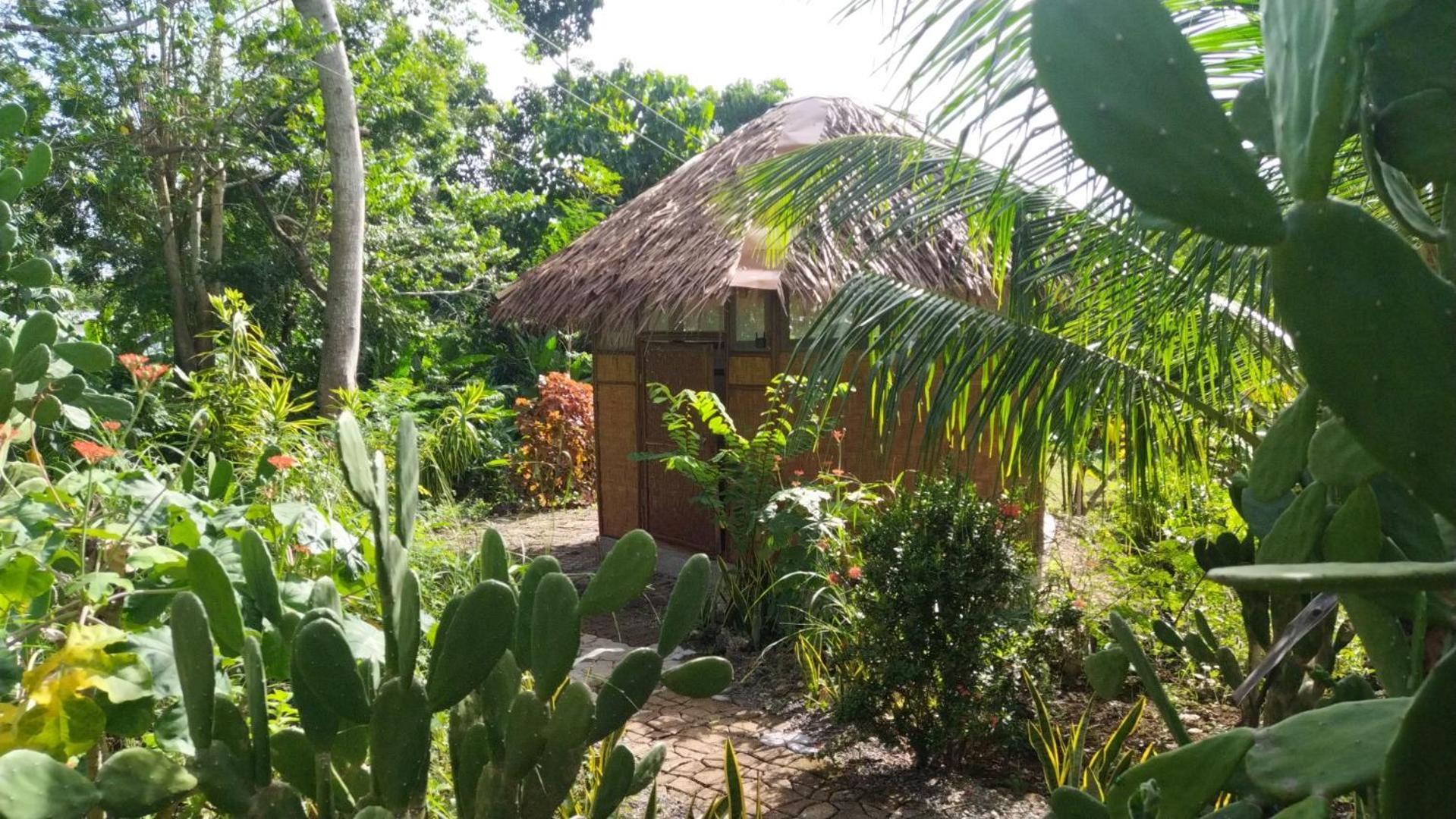 Little Nomads Eco-Guesthouse Сікіхор Номер фото